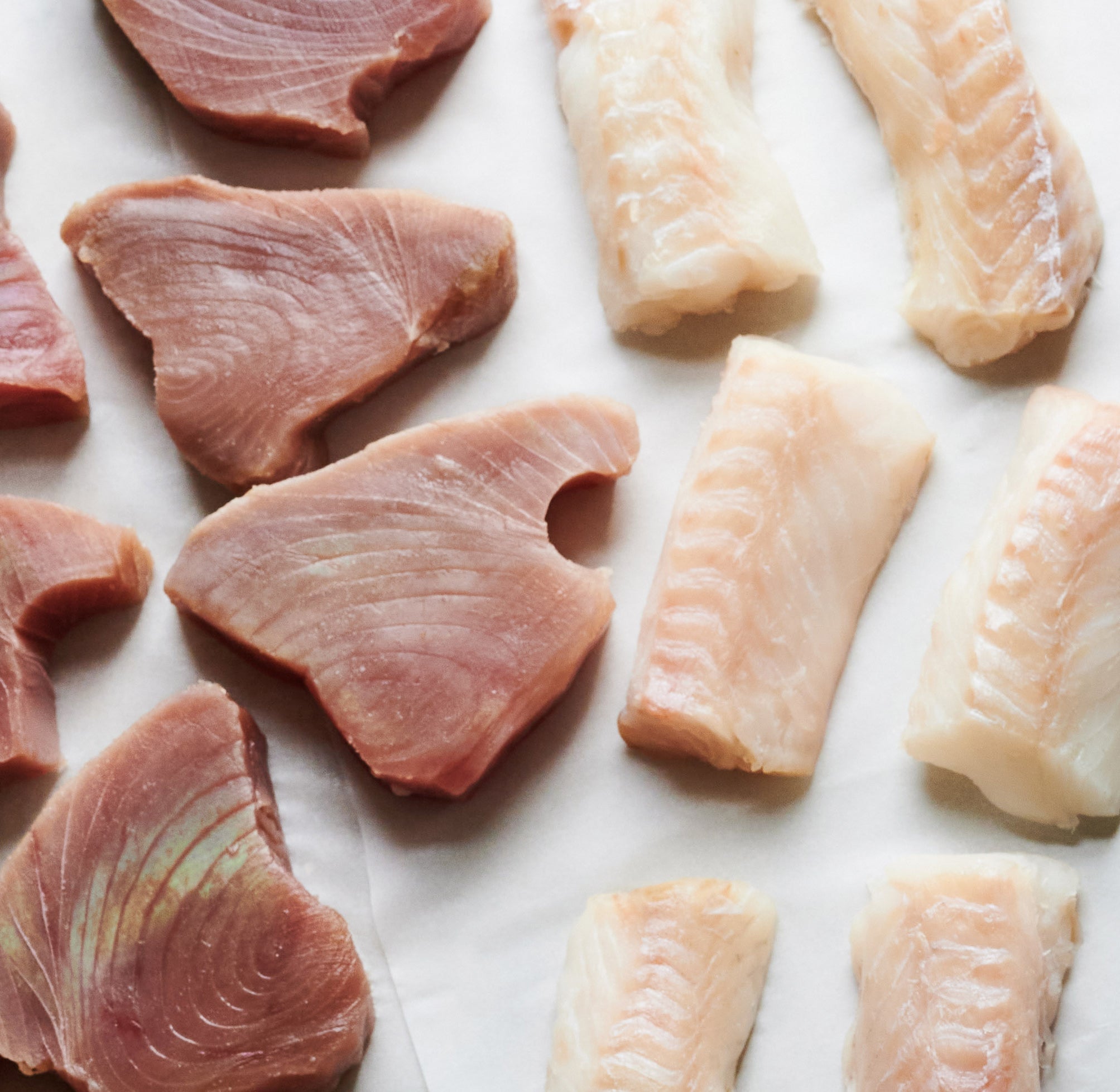 Our selection Of Fish