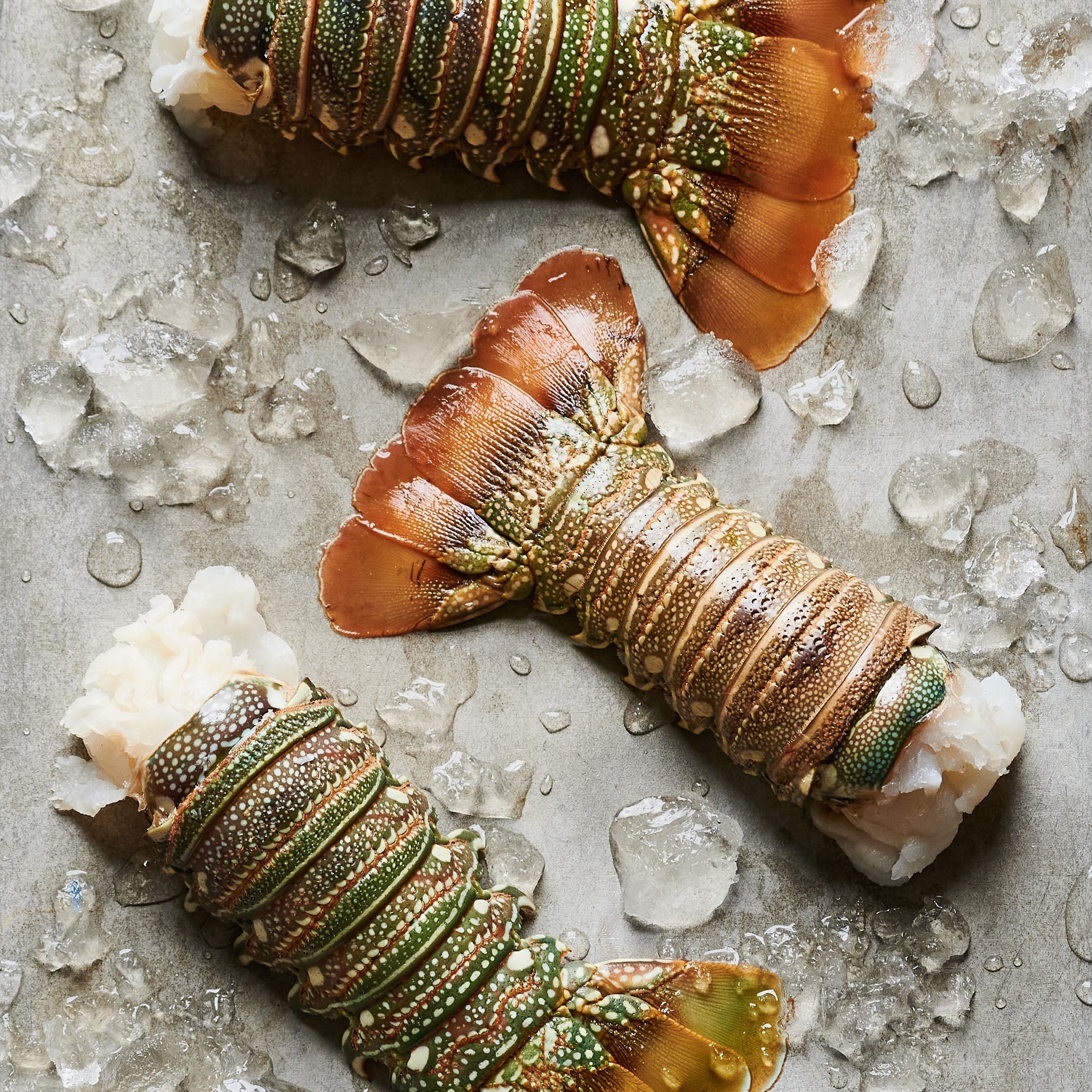 Our selection of Shellfish