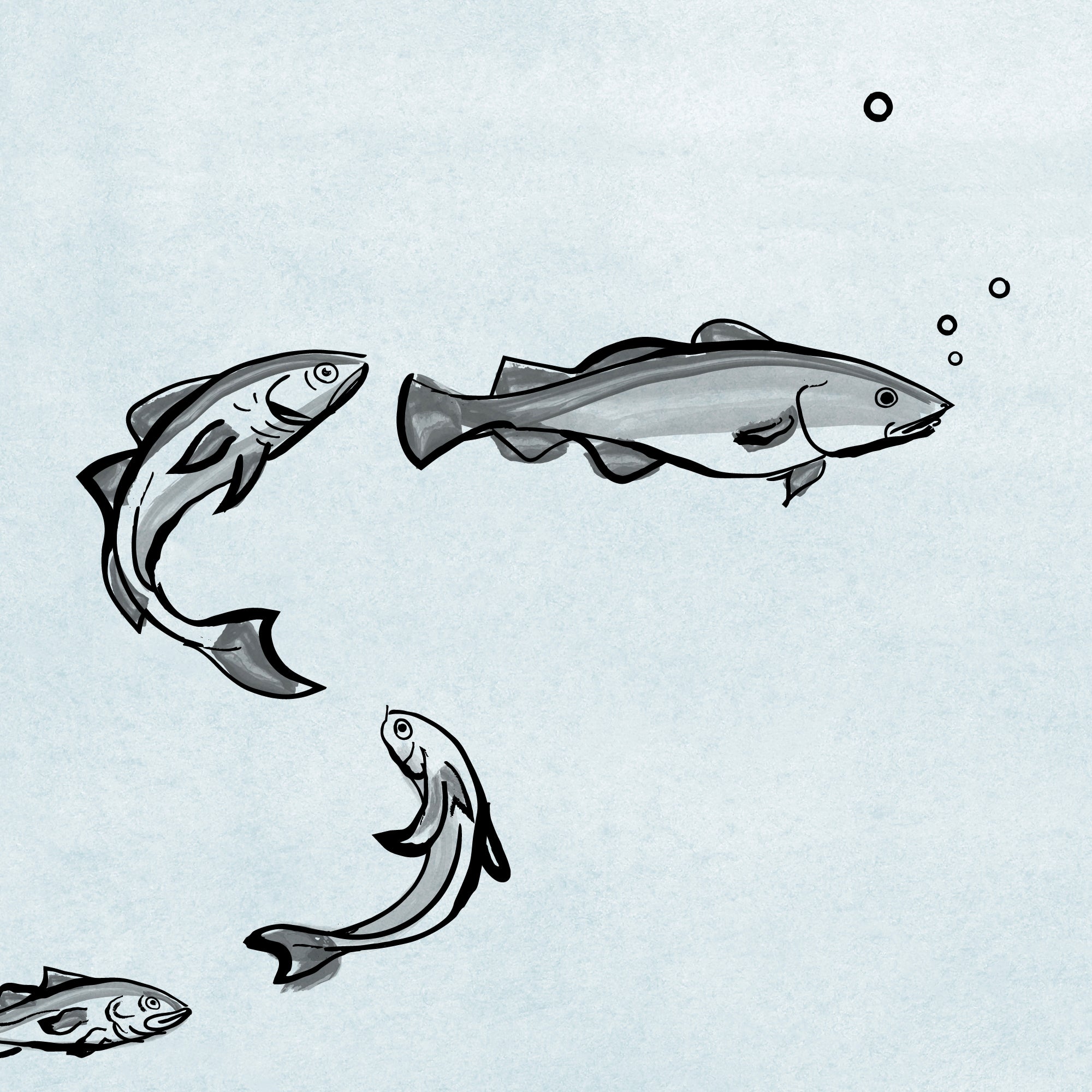 An illustrated line of fish