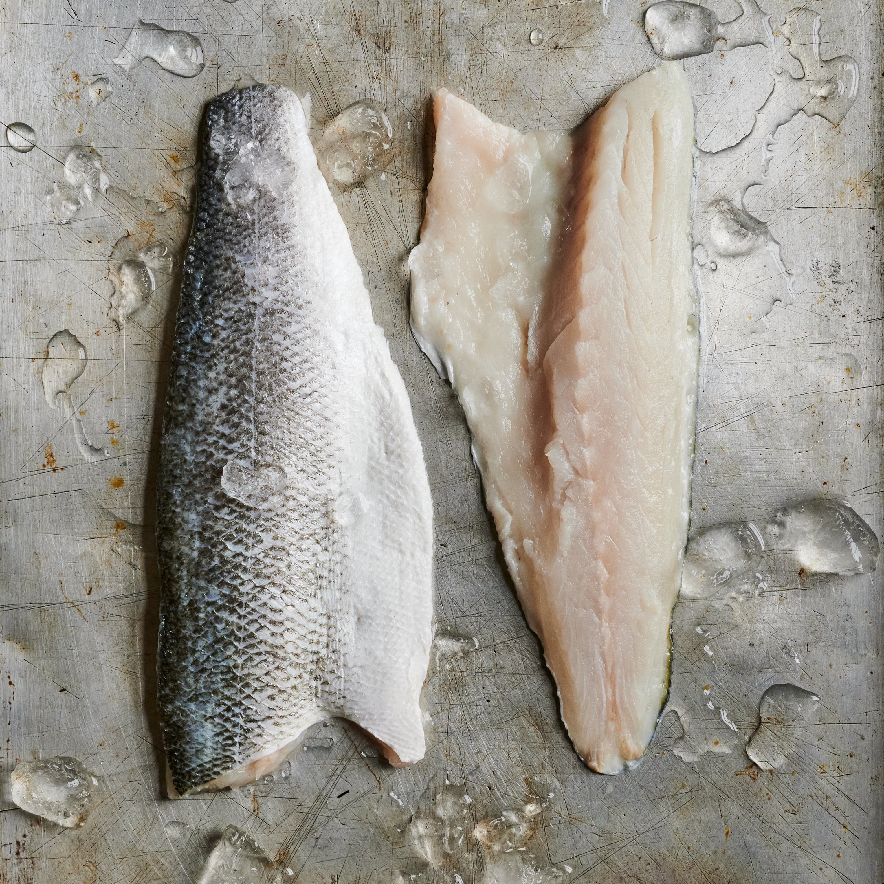 Tom the fish Seabass Fillets A photo showing a sea bass fillet alongside its skin on a metallic surface with ice crystals, representing the product mentioned in the description.