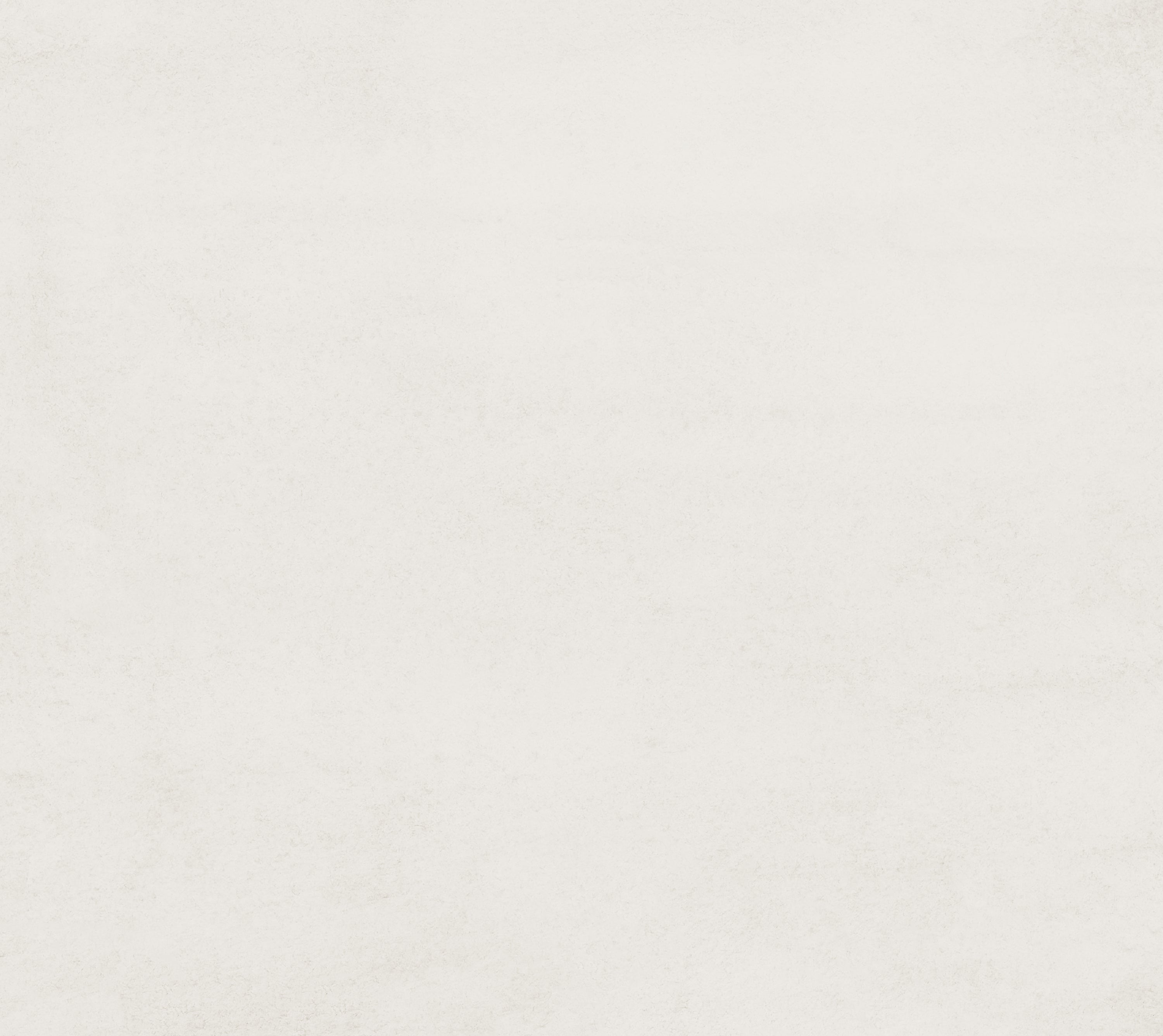 Solid light grey colour swatch