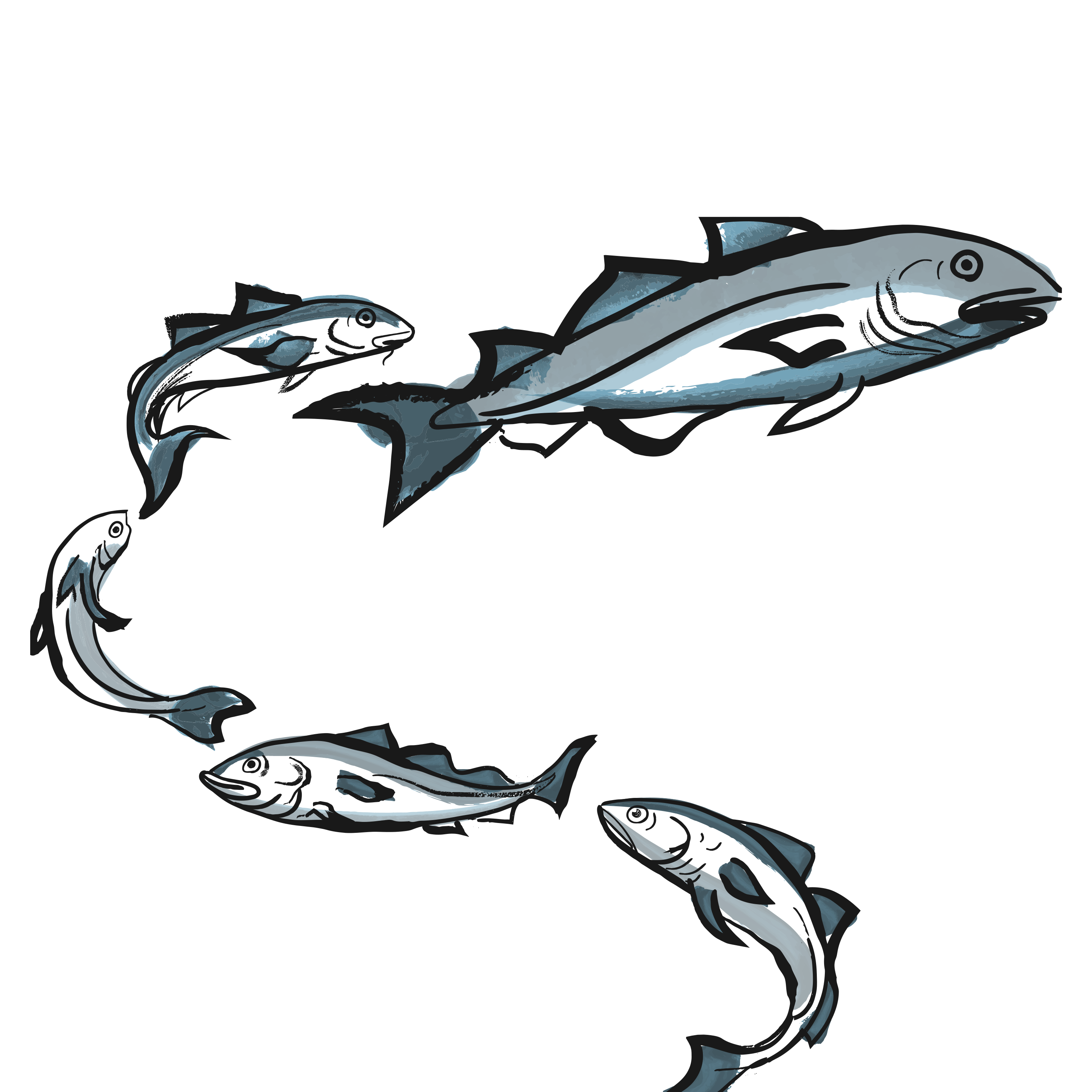 Blue and Black fish transparent background