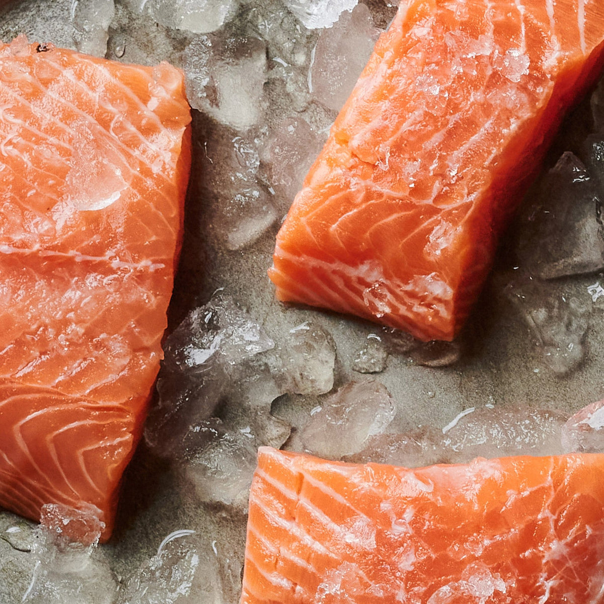 Platinum Subscription | Top Online Fishmonger | Tom the Fish