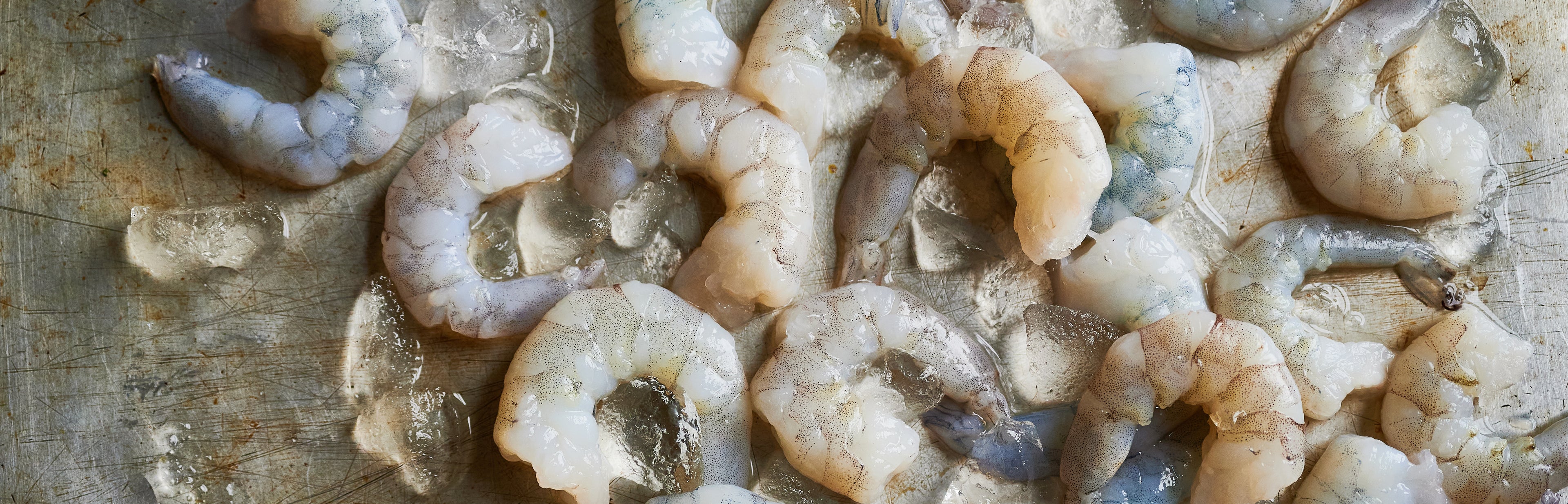 Our Selection of Shellfish
