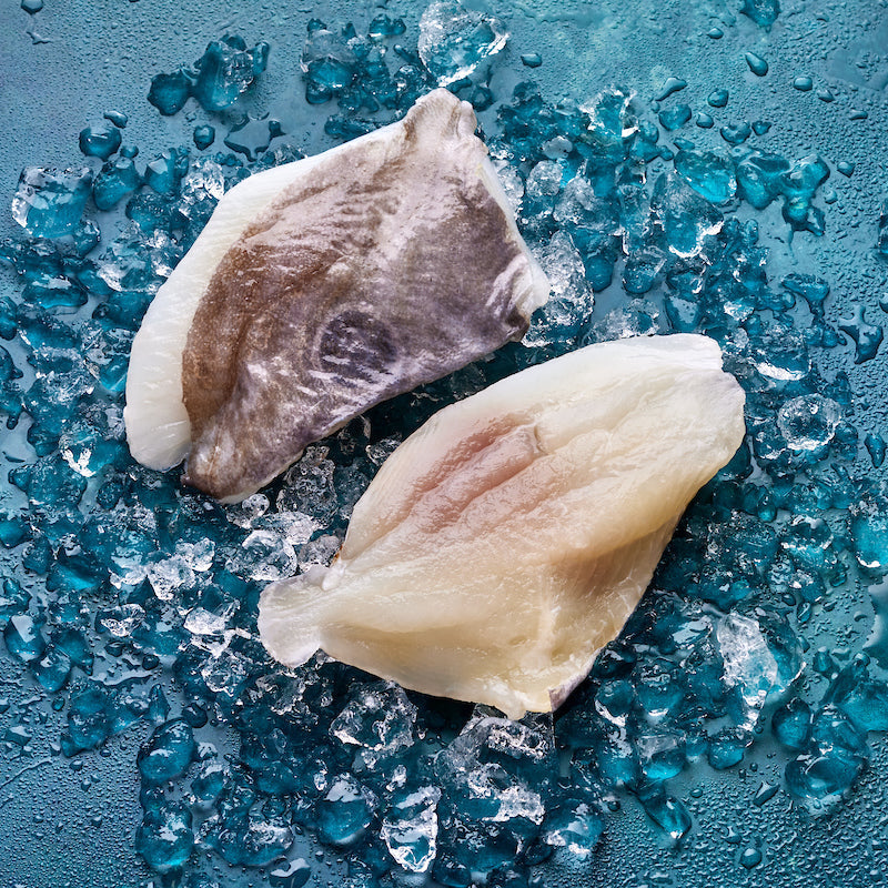 John Dory Fillets