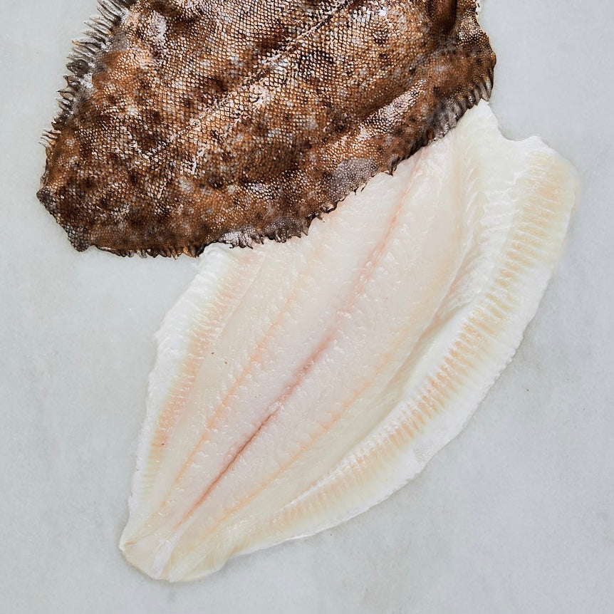 Lemon Sole Fillets