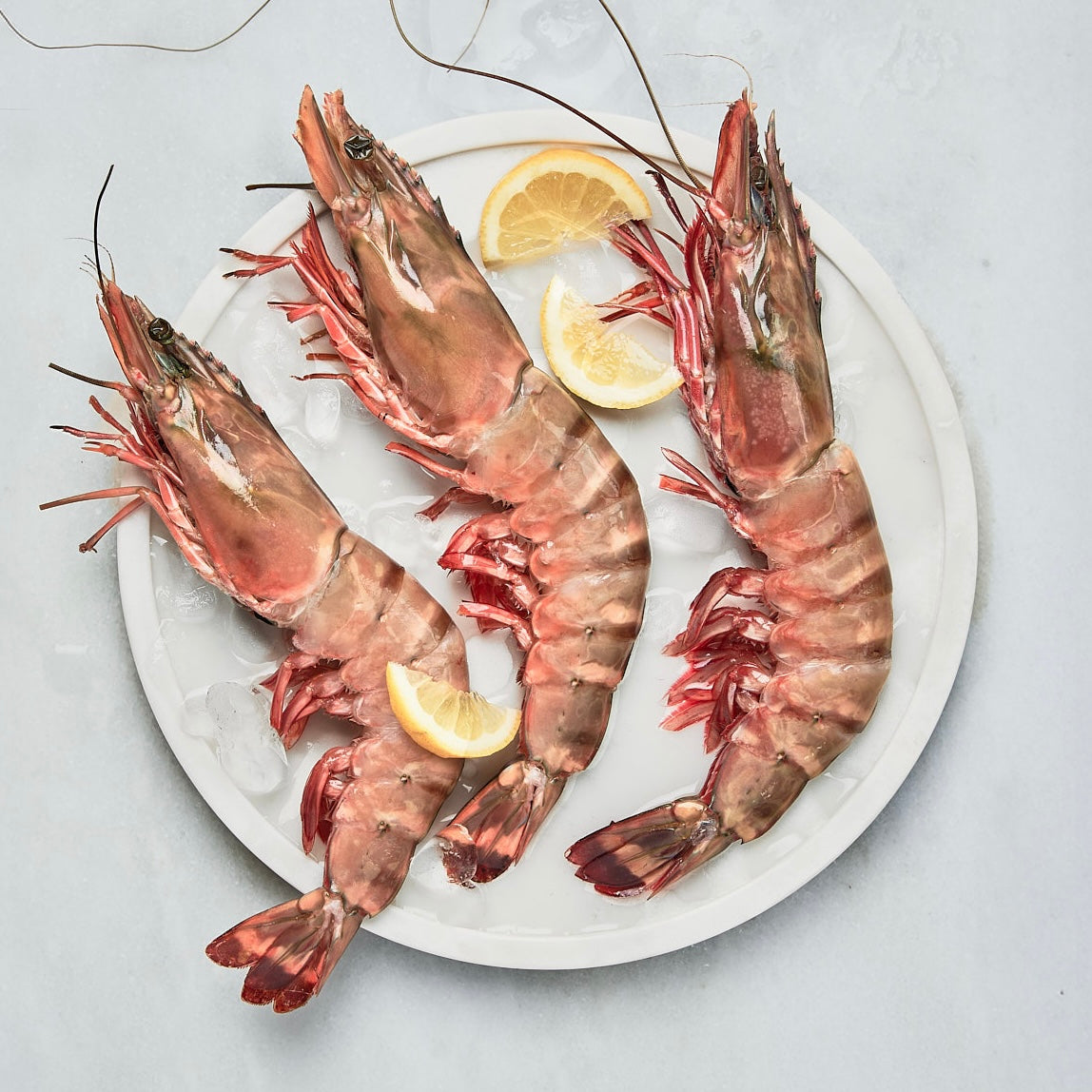 Extra Large Raw Crevettes