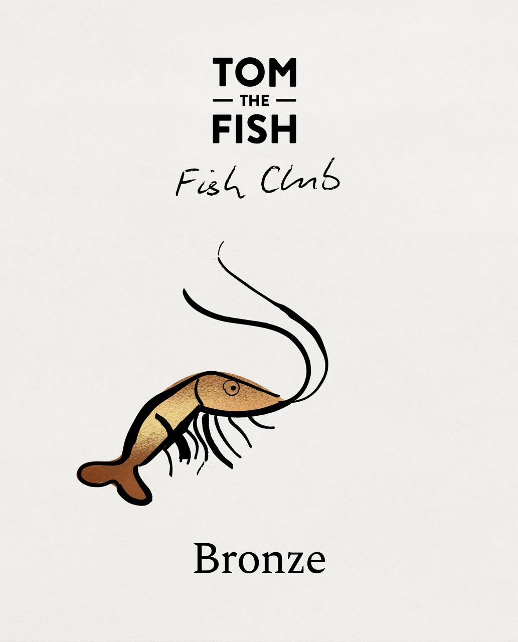 Bronze Subscription