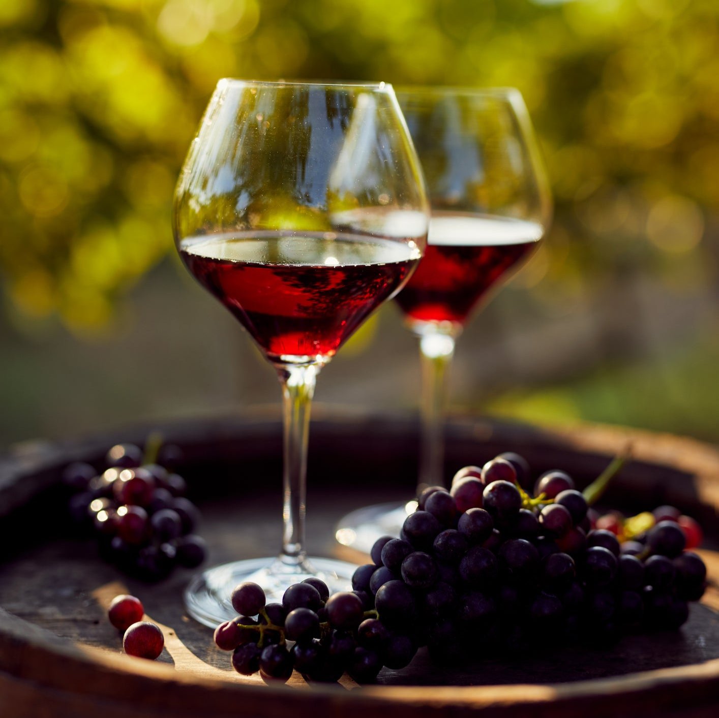 Organic Italian Wine Individual Bottle