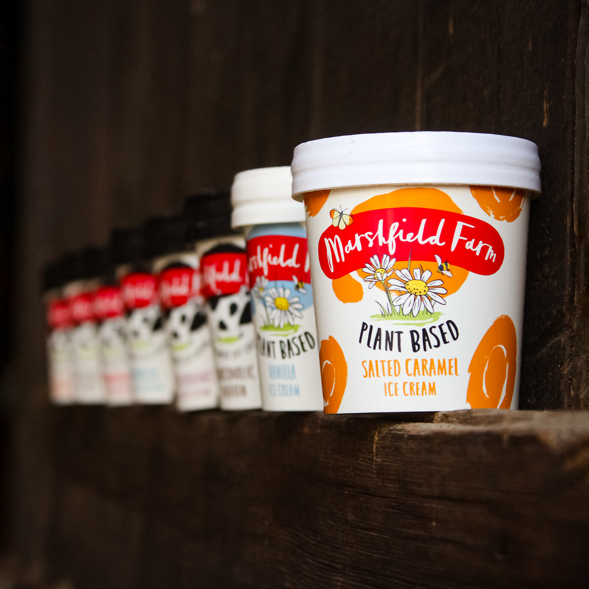 Plant-Based Ice Creams & Sorbets (Suitable for vegans!)