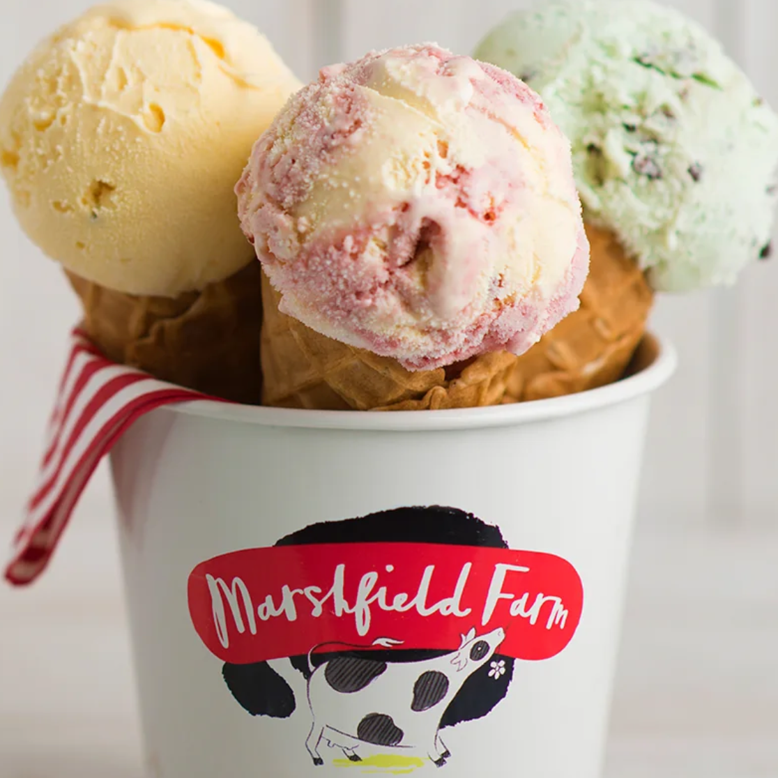 Real Dairy Ice Creams
