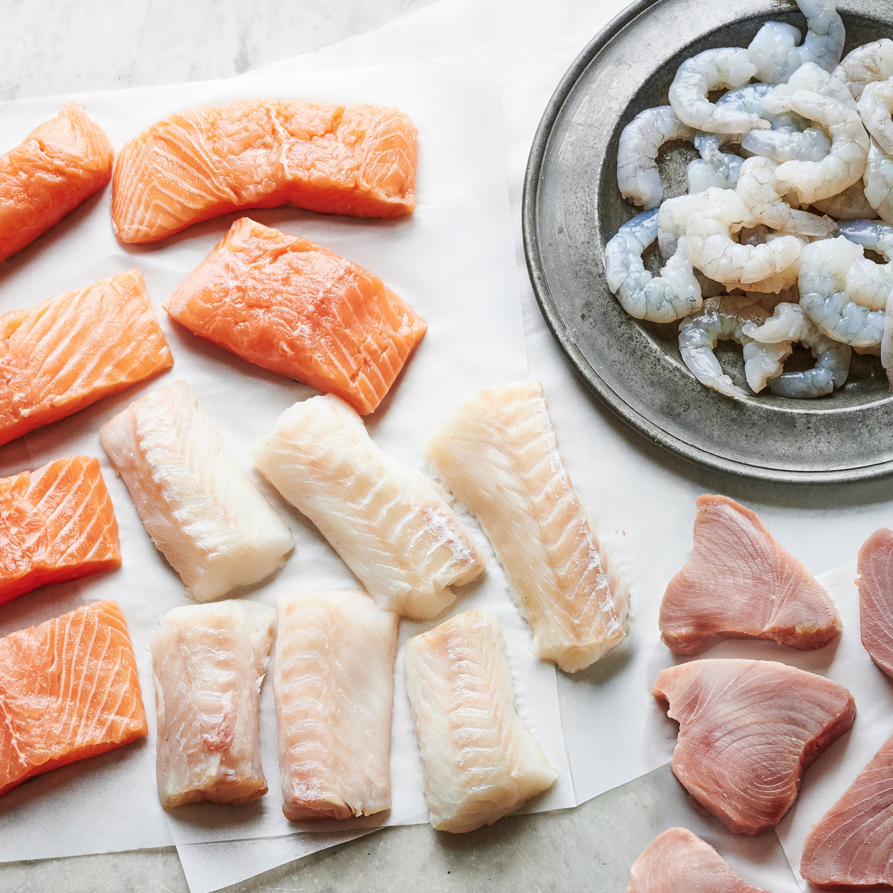 Tom the Fish - Salmon, Cod, Tuna and Prawns