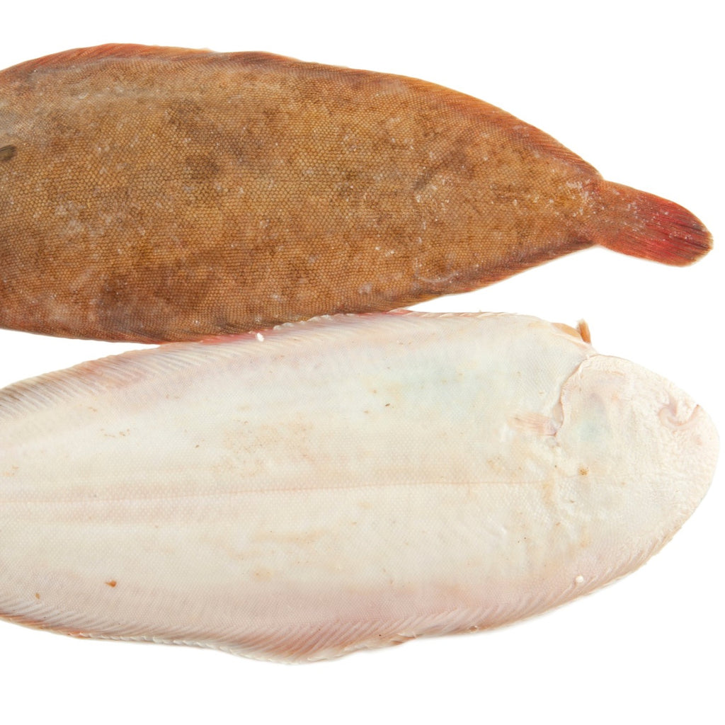 Whole Dover Sole