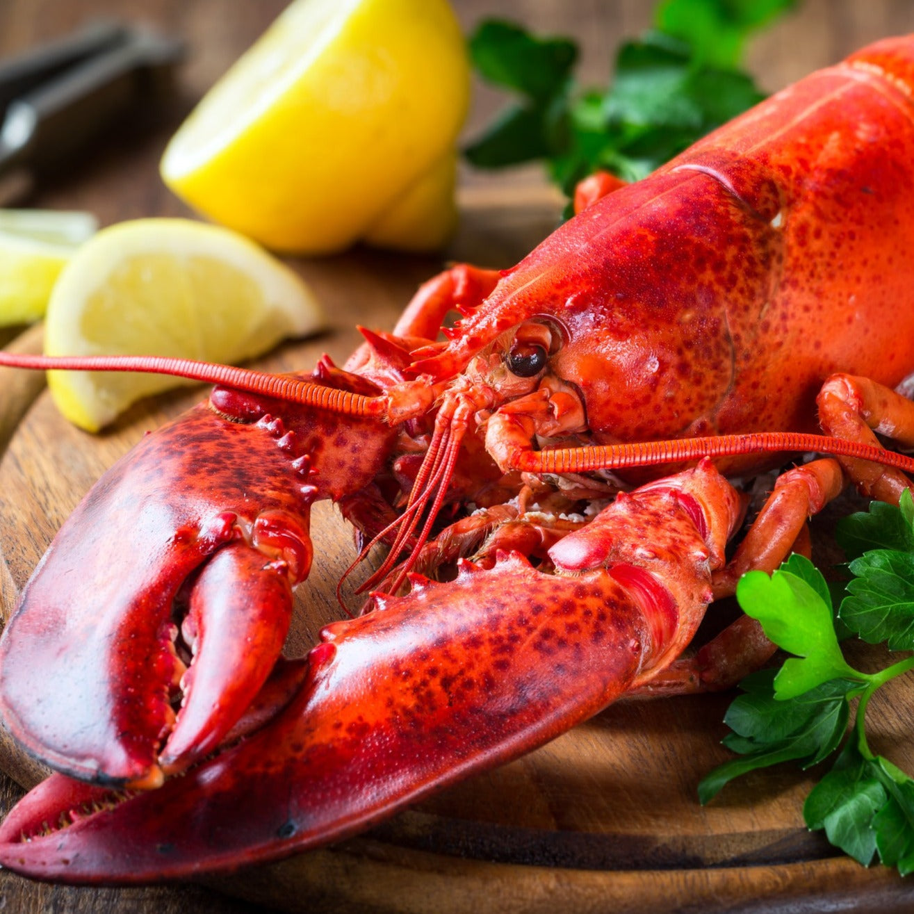 Whole Cooked Wild Caught Lobster