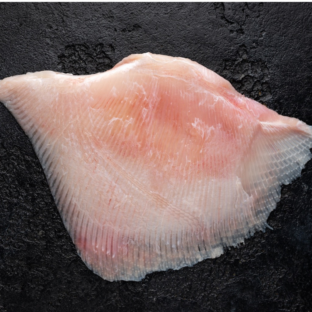Buy Large Skate Wings | Fresh, Meaty & Full of Flavour – Tom the Fish